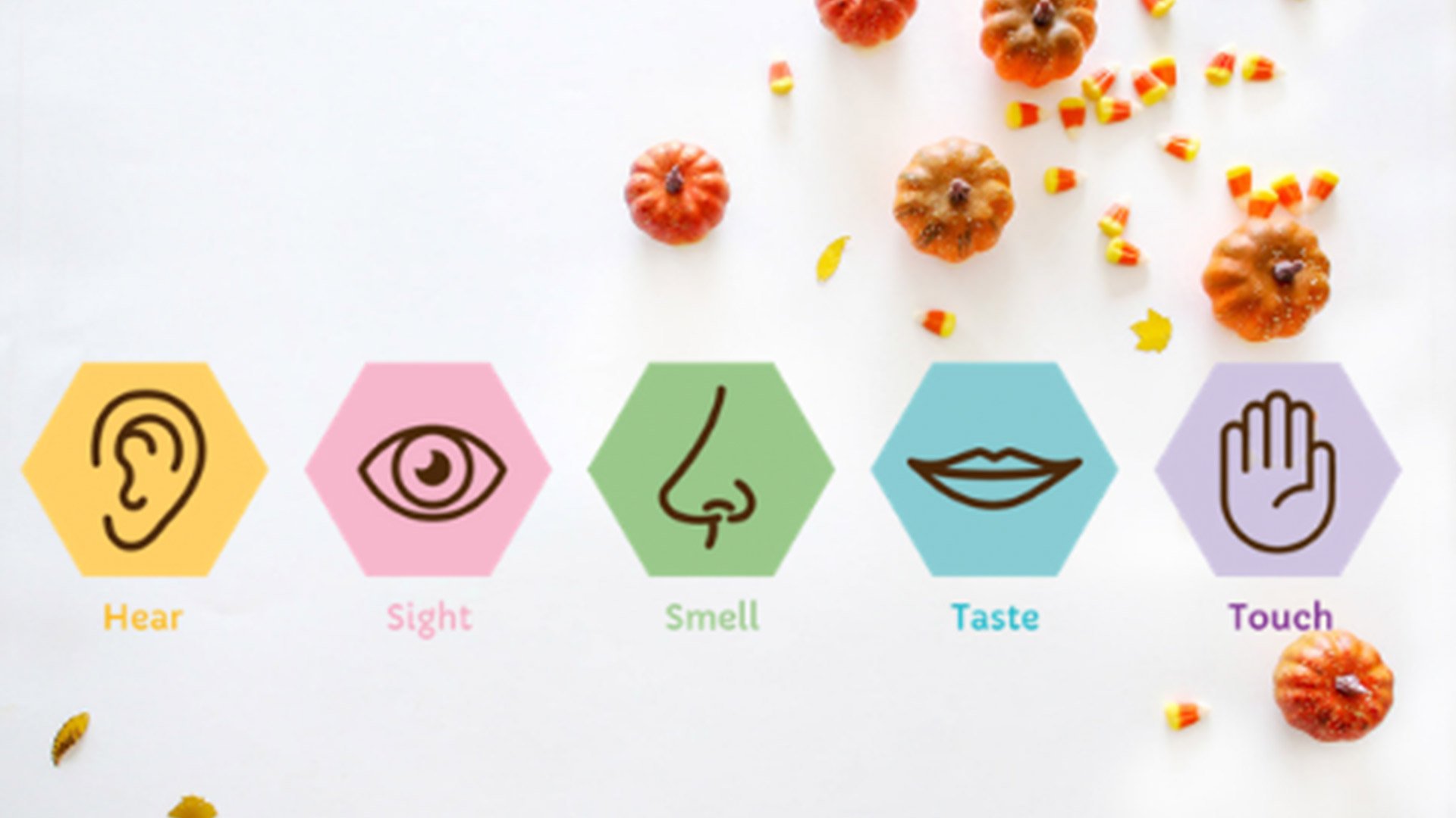 Healing together resource: my senses