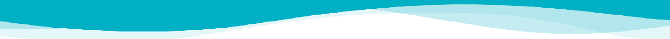 Innovating Minds Website Divider